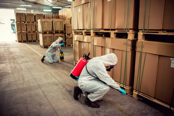 Trusted Harriman, TN Pest Control Experts