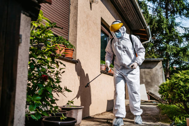Best Affordable Pest Control Services  in Harriman, TN