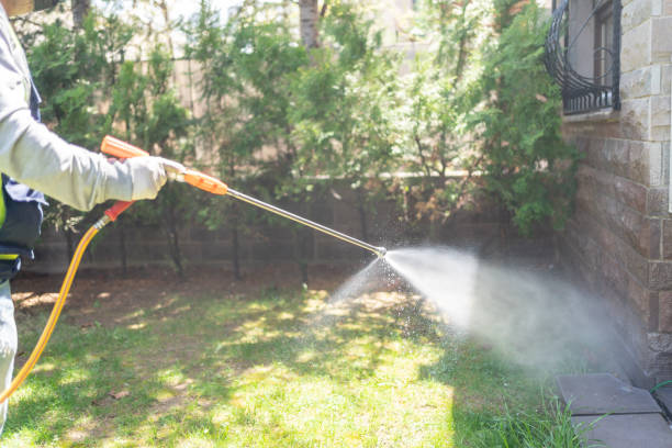 Best Residential Pest Control  in Harriman, TN