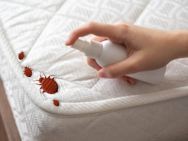 Best Exterminator Services  in Harriman, TN