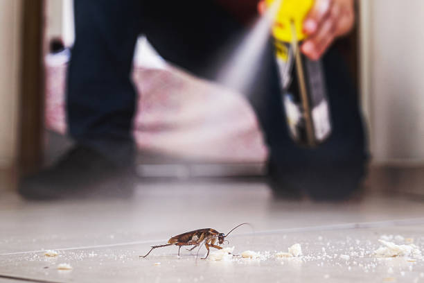 Best Ant Control Services  in Harriman, TN