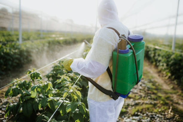 Best Emergency Pest Control  in Harriman, TN
